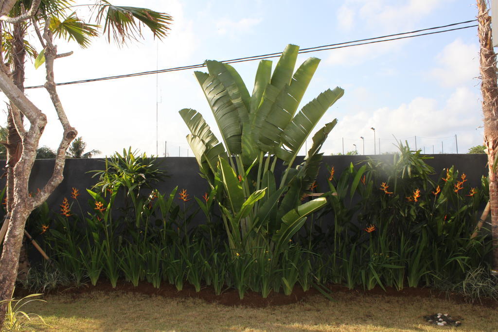 Apartemen Club Luxury Canggu *